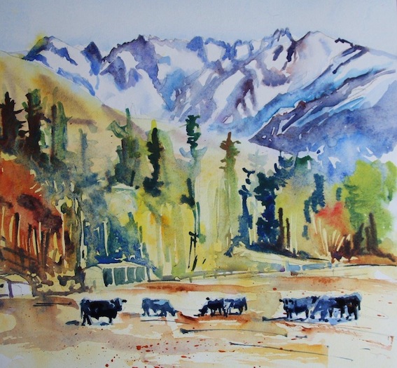 Jane McIntosh | watercolour | Bull and Cows Mesopatamia | McATamney Gallery and Design Store | Geraldine NZ